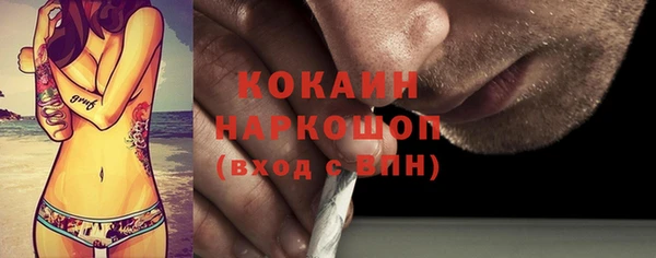 индика Алексин