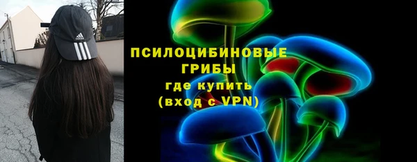 индика Алексин