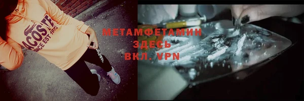 индика Алексин