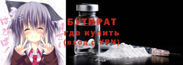 индика Алексин