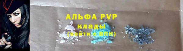 индика Алексин