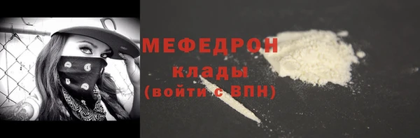 индика Алексин