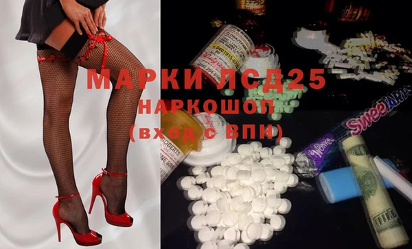 индика Алексин