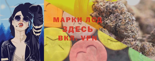 индика Алексин