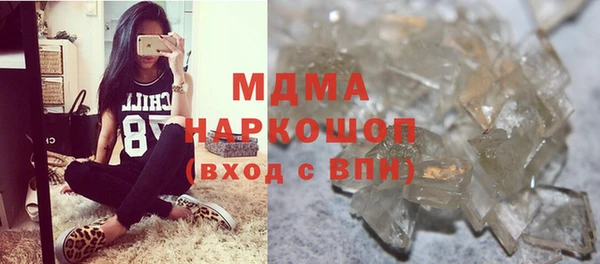 индика Алексин