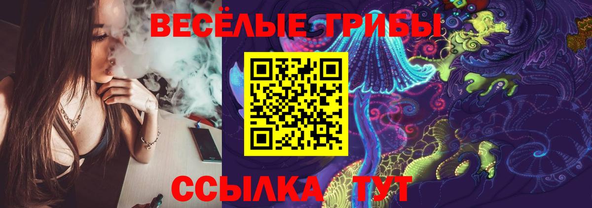 Псилоцибиновые грибы GOLDEN TEACHER  Вход с VPN  Симферополь  Галлюциногенные грибы Psilocybe 